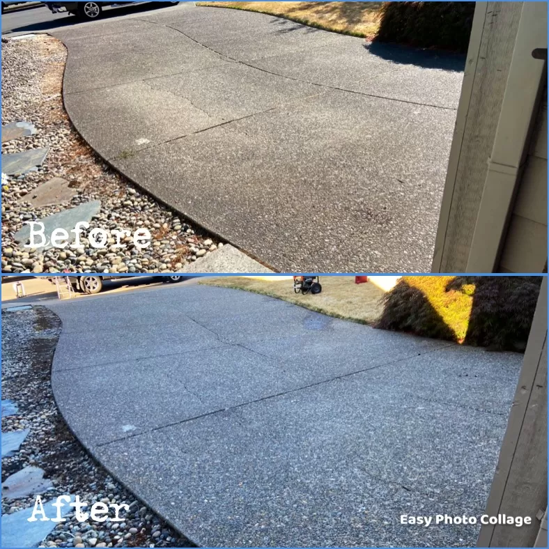 Driveway and Front Entry Cleaning in Tigard, OR