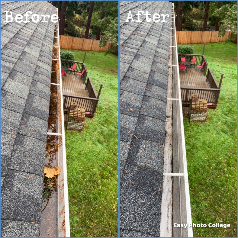 Gutter Cleaning in Vancouver